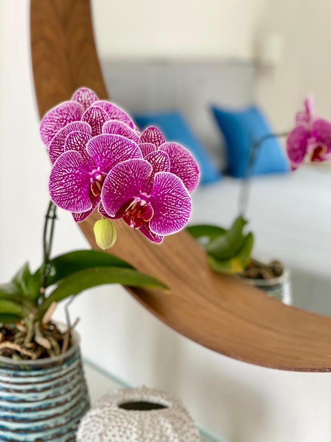 Via Firenze 11 Apartman Follonica Kültér fotó